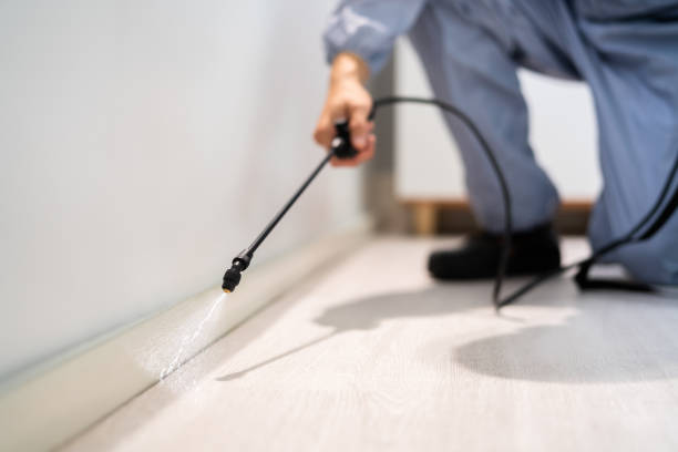 Licensed Pest Control service in Sprague, WV - Show Me Pest Control