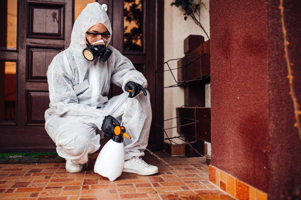 Reliable Wasp Removal contractor in Sprague, WV by Show Me Pest Control